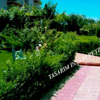 Bitkisel Peyzaj Uygulamaları