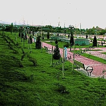 Bitkisel Peyzaj Uygulamaları