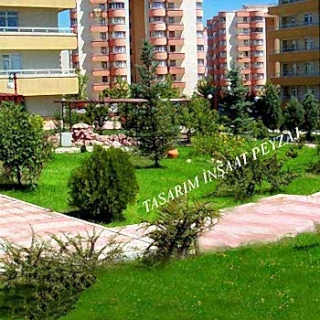 Bitkisel Peyzaj Uygulamaları