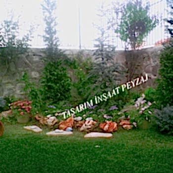 Bitkisel Peyzaj Uygulamaları