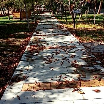 Yapısal Peyzaj Uygulamaları