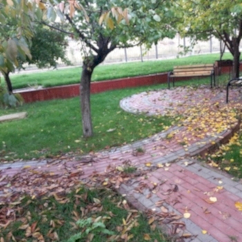 Yapısal Peyzaj Uygulamaları