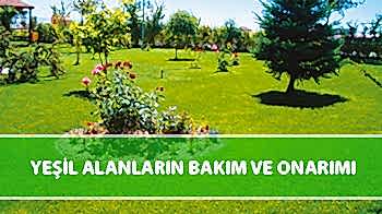 Yeşil Alanların Bakım ve Onarımı